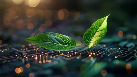 Grüne Wirtschaft 2050: Australiens Weg zur Netto-Null