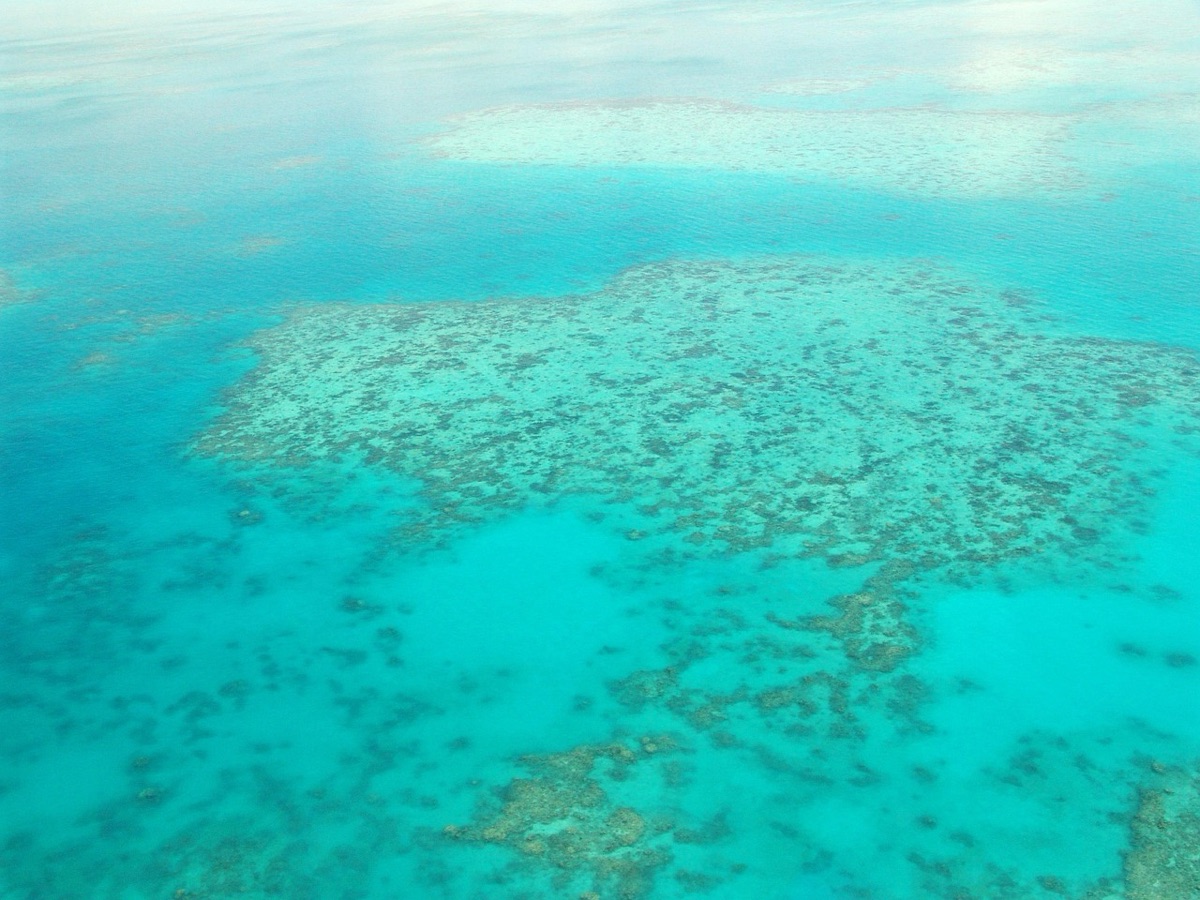 Das Great Barrier Reef und die Auswirkungen des Klimawandels auf Korallen.
