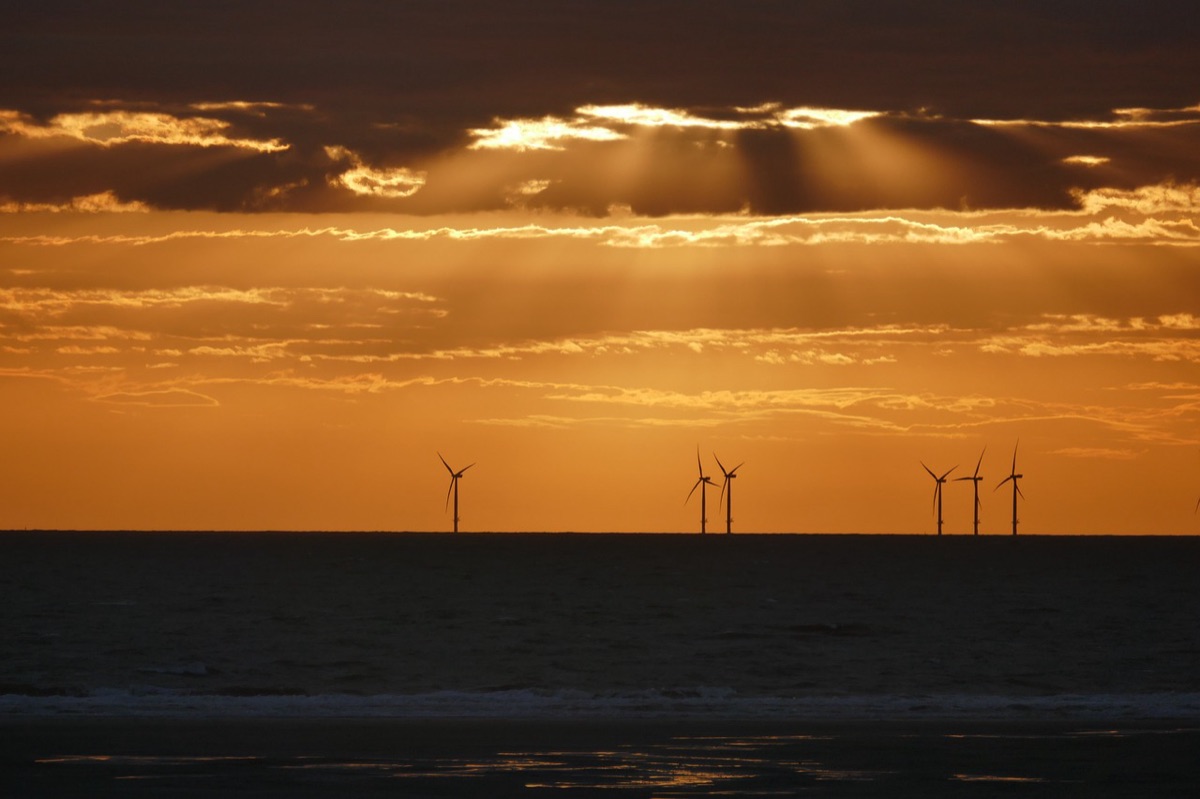 Wind turbines standing along the Australian coastline.