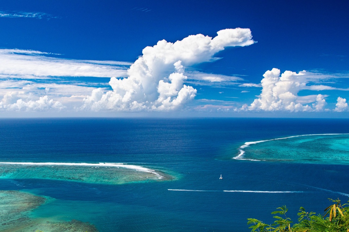 Impacto del cambio climático en los arrecifes de coral de Australia