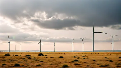 Énergie verte : l'Australie vise la neutralité carbone en 2050