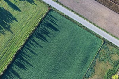 Rural Access Lag: Bridging Urban-Regional Care Divides Today