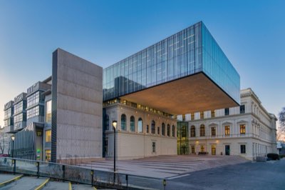 University Consolidation: Facing Future in Global Academia