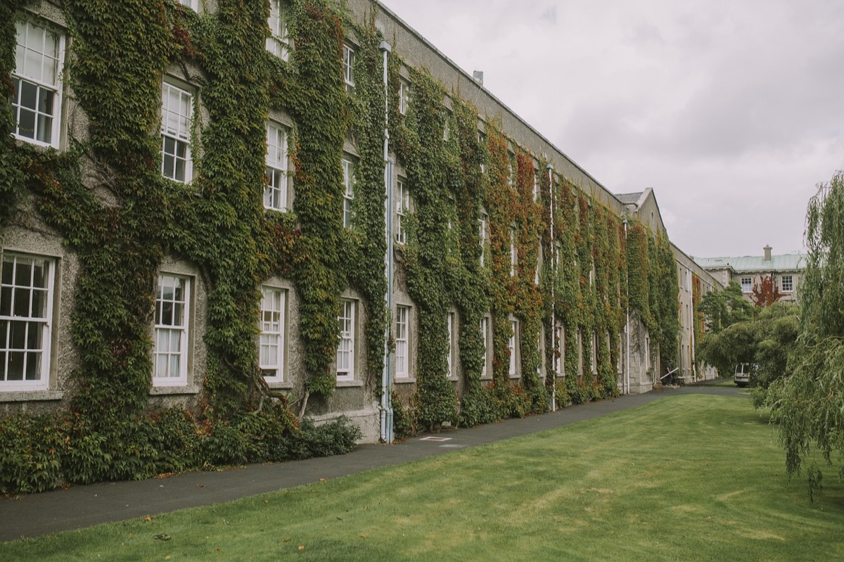호주 대학, 고등교육, 대학 통합, UniSA, University of Adelaide, South Australian Institute of Technology